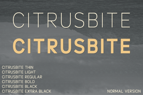 Citrusbite: The Modern Sans Serif Font for Polished Brand Identity