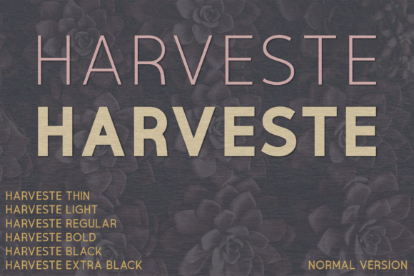 Harveste Typeface Review: Elevating Small Business Brand Identity