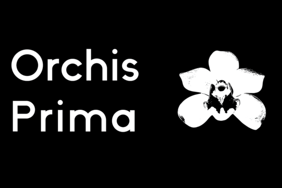 Orchis Prima: A Modern Sans Serif for Clean Digital Layouts