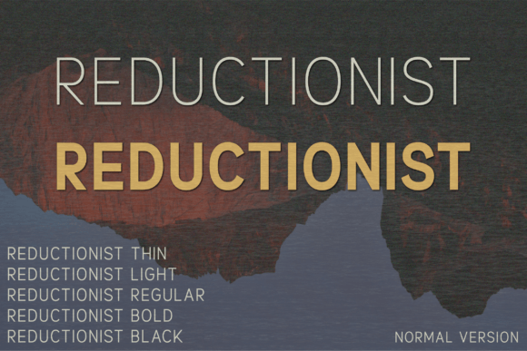 Reductionist Typeface Review: Minimalist Elegance for Modern Brand Identity